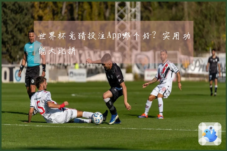 世界杯竞猜投注App哪个好？实用功能大比拼