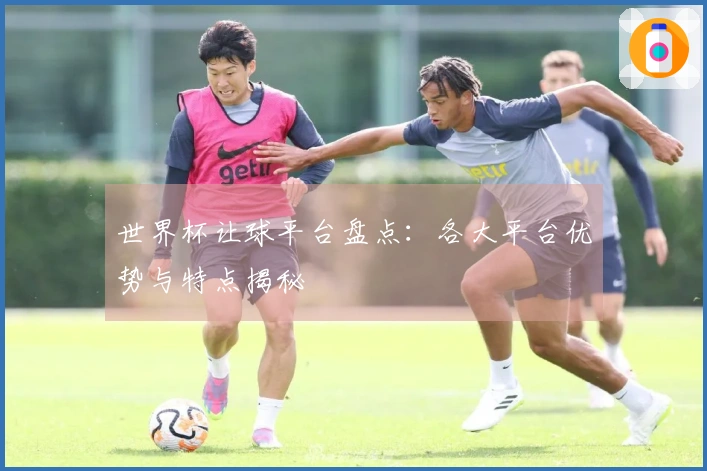 世界杯让球平台盘点：各大平台优势与特点揭秘
